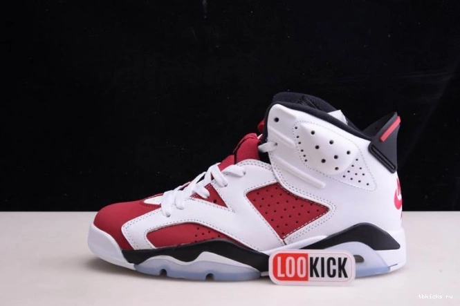 TB 2021 'CARMINE' JORDAN 6 AIR CT8529-106 RETRO 0729